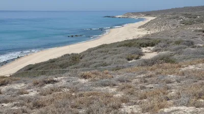 Pindoco 5 Camino A La Ribera — Land for sale in East Cape