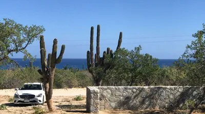 El Cardonal Lot Offroad Cardonal-Los Barriles — Land for sale in East Cape