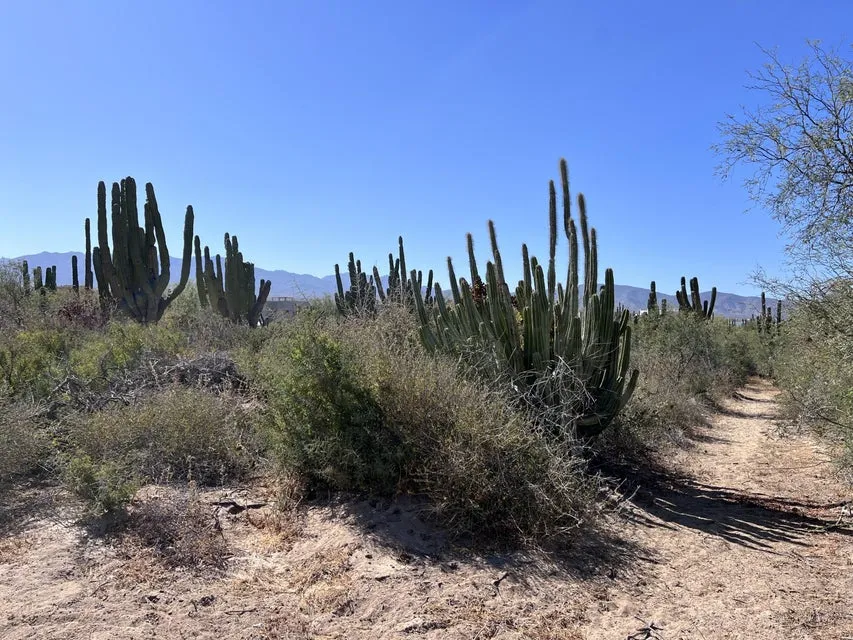 Lomas De Playa Sur Lot 2 — Land for sale in La Paz