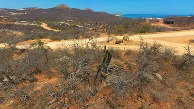 Oasis En El Desierto, Lot 71 — Land for sale in San José del Cabo