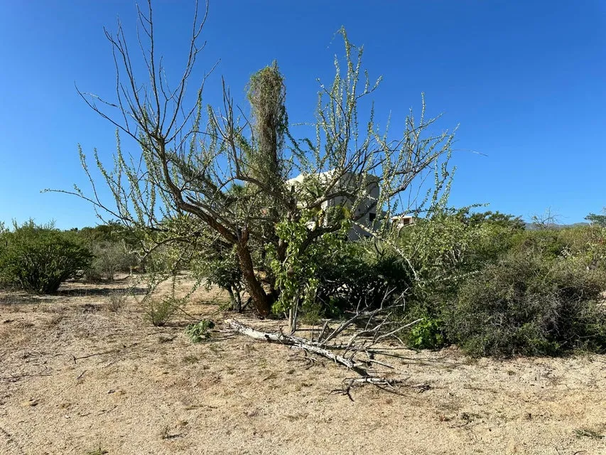 Vista Grande Lot — Land for sale in La Paz