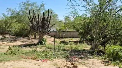 Miraflores Lote 3 Mza 9 — Land for sale in East Cape