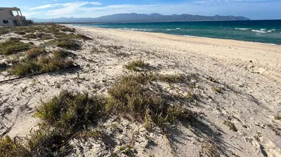 Beachfront Bahia Turquesa Acre Lot 0198 — Land for sale in East Cape