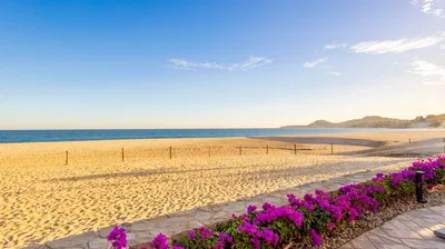 El Zalate 2 103 — Condo for sale in San José del Cabo
