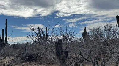 Agua Blanca Lot #2 Camino De La Mojarra — Land for sale in Pacific Coast