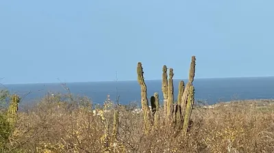 Gabriela's Lot Martires — Land for sale in East Cape