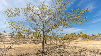 Las Brisas Ocean View Corner — Land for sale in Pacific Coast