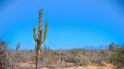 Terreno En Lomas De Baturi Ejido Meliton Albañez — Land for sale in La Paz