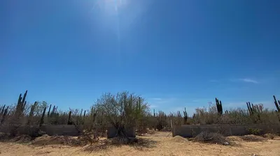 La Roca Carr. Los Planes-La Ventana — Land for sale in La Paz