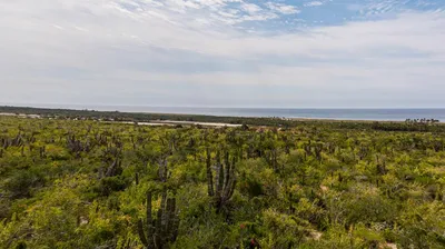 Las Playitas Vistas Playitas 1428 — Land for sale in Pacific Coast