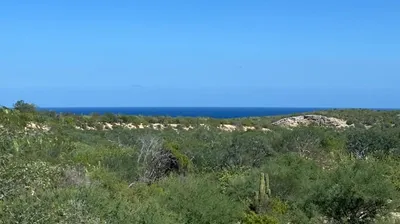 East Cape View Lot — Land for sale in East Cape