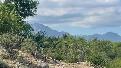 East Cape Developers Dream — Land for sale in East Cape