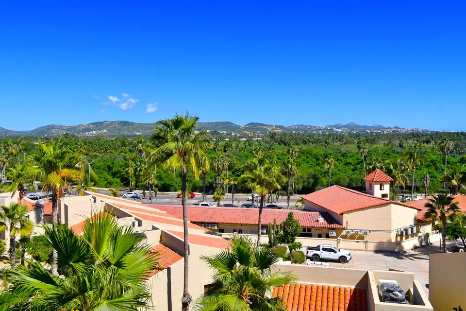 Palm Orchard Condo Laguna Vista — Condo for sale in San José del Cabo