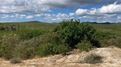 Lot 520 — Land for sale in East Cape