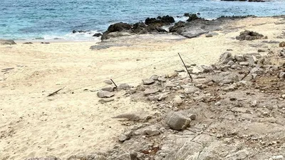 Santa Cruz Oceanfront 2 A — Land for sale in East Cape