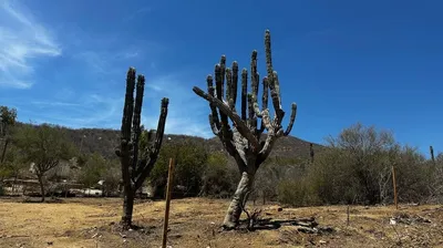 Lot 4A Piedras Gordas — Land for sale in East Cape
