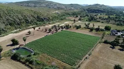 Lote Albahaca Sn Sn — Land for sale in Pacific Coast