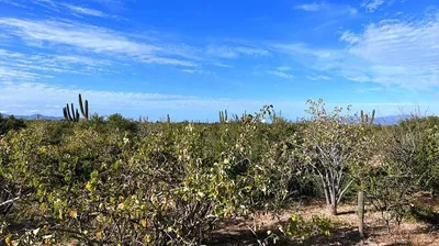 Bahia Turquesa Large Desert 0245 Acre Lot — Land for sale in La Paz