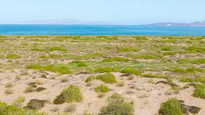 Lot 42 El Mogote — Land for sale in La Paz