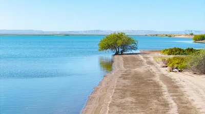 Lot 47 El Mogote — Land for sale in La Paz
