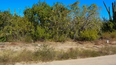 Terreno Moctezuma Lote 37 Manzana 65 — Land for sale in La Paz