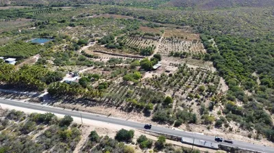 Organics Farm La Soledad Carretera La Ribera — Land for sale in East Cape