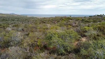 Lot 513 Costa De Oro — Land for sale in East Cape