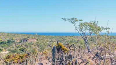 Oceanview Lot 6 Laguna Hills Block 3 Lot — Land for sale in San José del Cabo