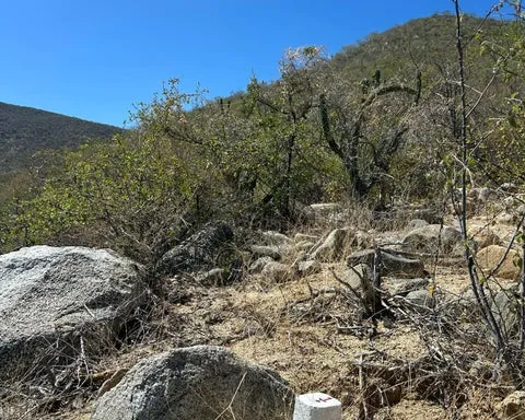 1st point of the propriety , located inside the hill