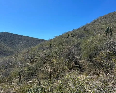 General view of the property land