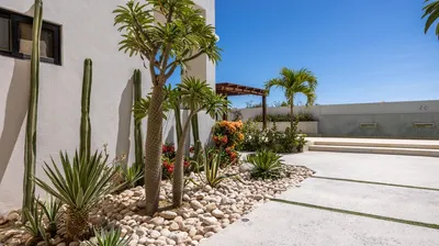 Carpe Diem Condo Sn Callejon Barracuda — Condo for sale in East Cape