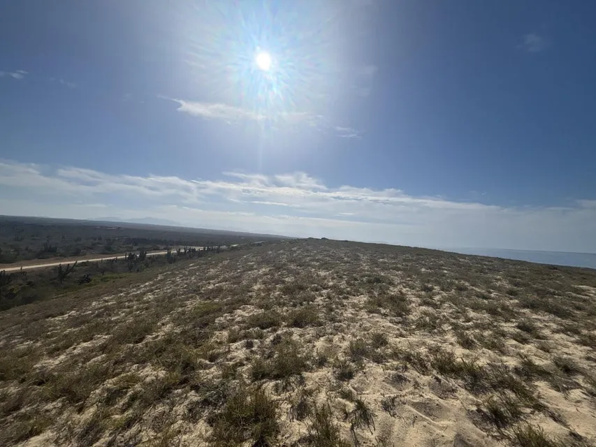 Beachfront Agua Blanca Camino De La Langosta — Land for sale in Pacific Coast