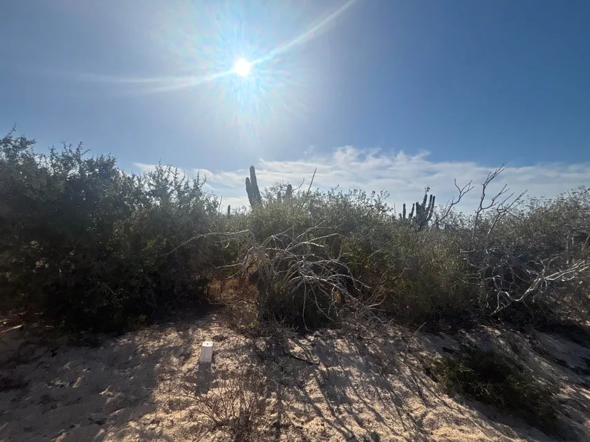 Agua Blanca Mza J10 Lote 18A Camino De La Tiburon — Land for sale in Pacific Coast