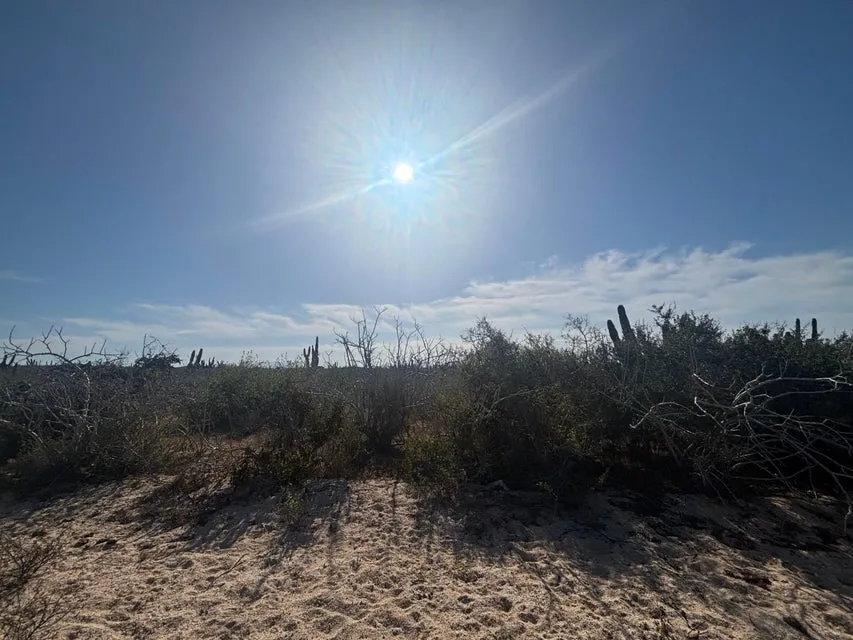 Agua Blanca Mza J10 Lote 18B Camino De La Tiburon — Land for sale in Pacific Coast