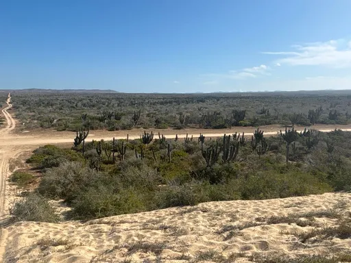 View from dunes toward Camino de La Langosta