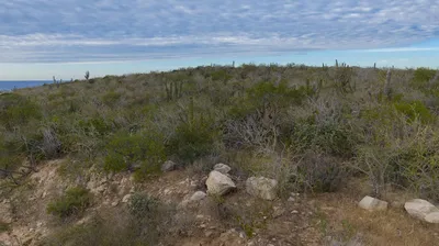 Cascabel 17 — Land for sale in Pacific Coast