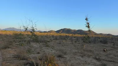 Rancho Nuevo Lote 9 Manzana 1 — Land for sale in Pacific Coast