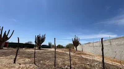 Land In La Pitahaya 1 — Land for sale in La Paz