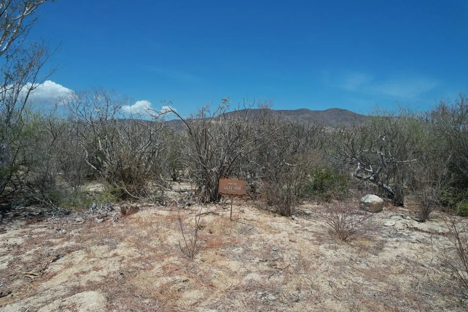 Colina Del Sol Lote 4 Mnz 58 — Land for sale in East Cape