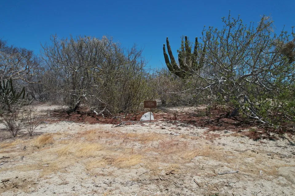 Colina Del Sol Lote 6 Mnz. 60 Circuito Del Sol — Land for sale in East Cape