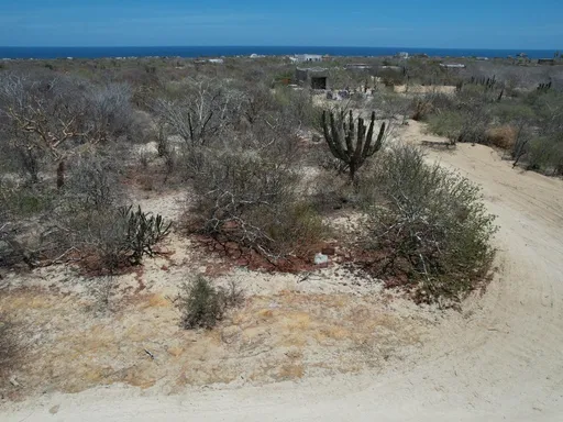 Gallery image 5