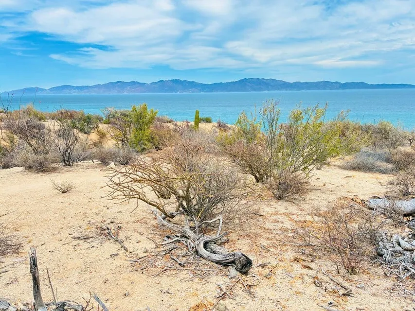 Colina De Las Estrellas S/N Calle De Acceso — Land for sale in La Paz