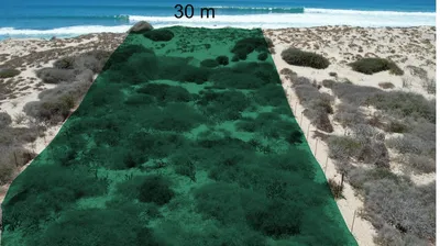 Beachfront 30 M Lot 10 Demacias De San Luis,East Cape — Land for sale in East Cape