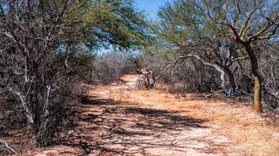 San Juan Lot Fraccion E De La Fracción 4 — Land for sale in East Cape