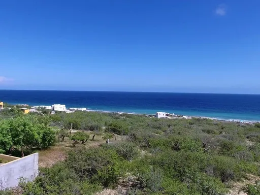 Sea of Cortez