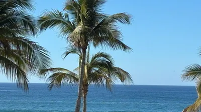 La Jolla Condominiums Km 29.5 Paseo La Jolla Tower C — Condo for sale in San José del Cabo