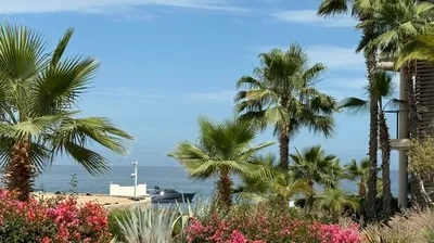 Chileno Bay Residences Fresco 1 Km 15 Carr. Transp. Cabo-Sj — Condo for sale in Cabo San Lucas