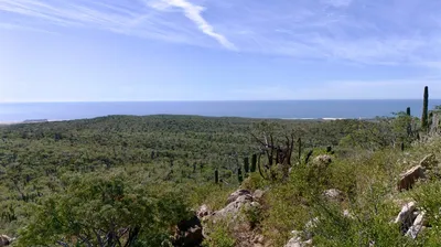 Lote Pedregoso B Rancho Pedregoso — Land for sale in Pacific Coast