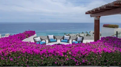 Las Ventanas PH 6502 Km 19.5 Carr. Transpeninsular — Condo for sale in San José del Cabo