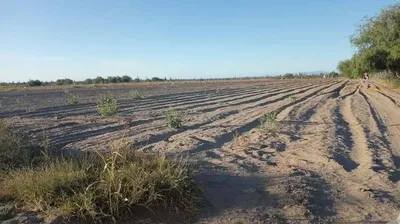 Terreno En Venta Calle Acceso, Alfredo V Bonfil — Land for sale in Pacific Coast